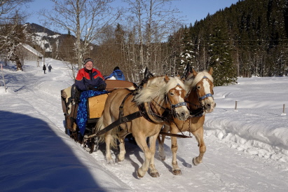 Schlittenfahrt bei Bilderbuchwetter