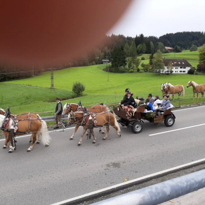 Hochzeitskutsche viersp&auml;nnig