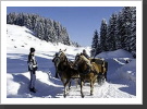Schlittenfahrt ins Autal