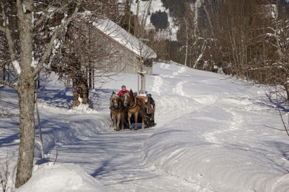 Schlittenfahrt ins sch&ouml;ne Ostertal