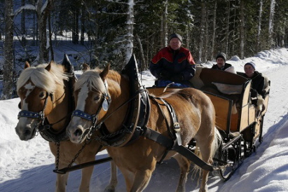 Schlittenfahrt Jan. 2017